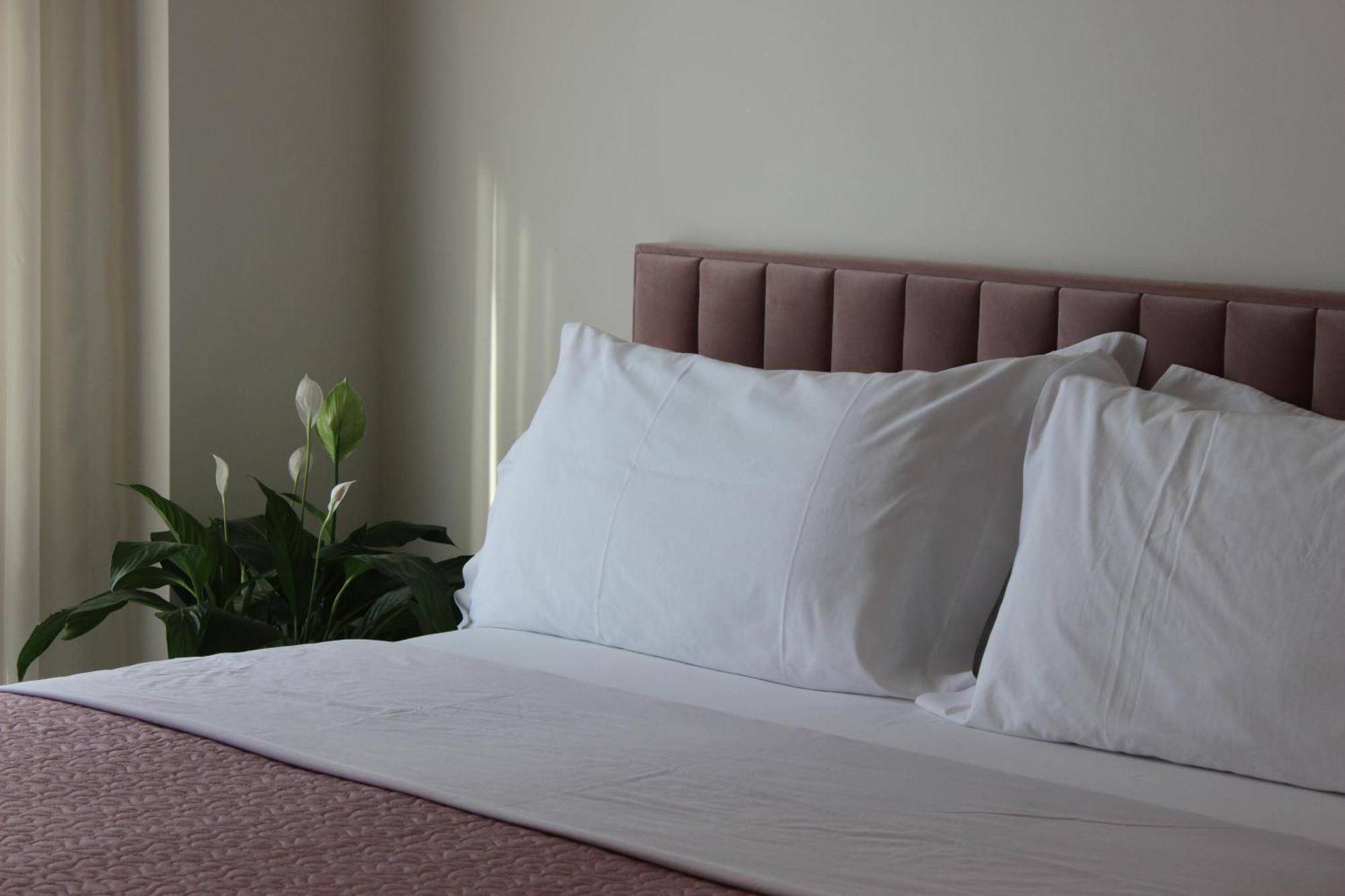 Delight Apartment 地拉那 外观 照片
